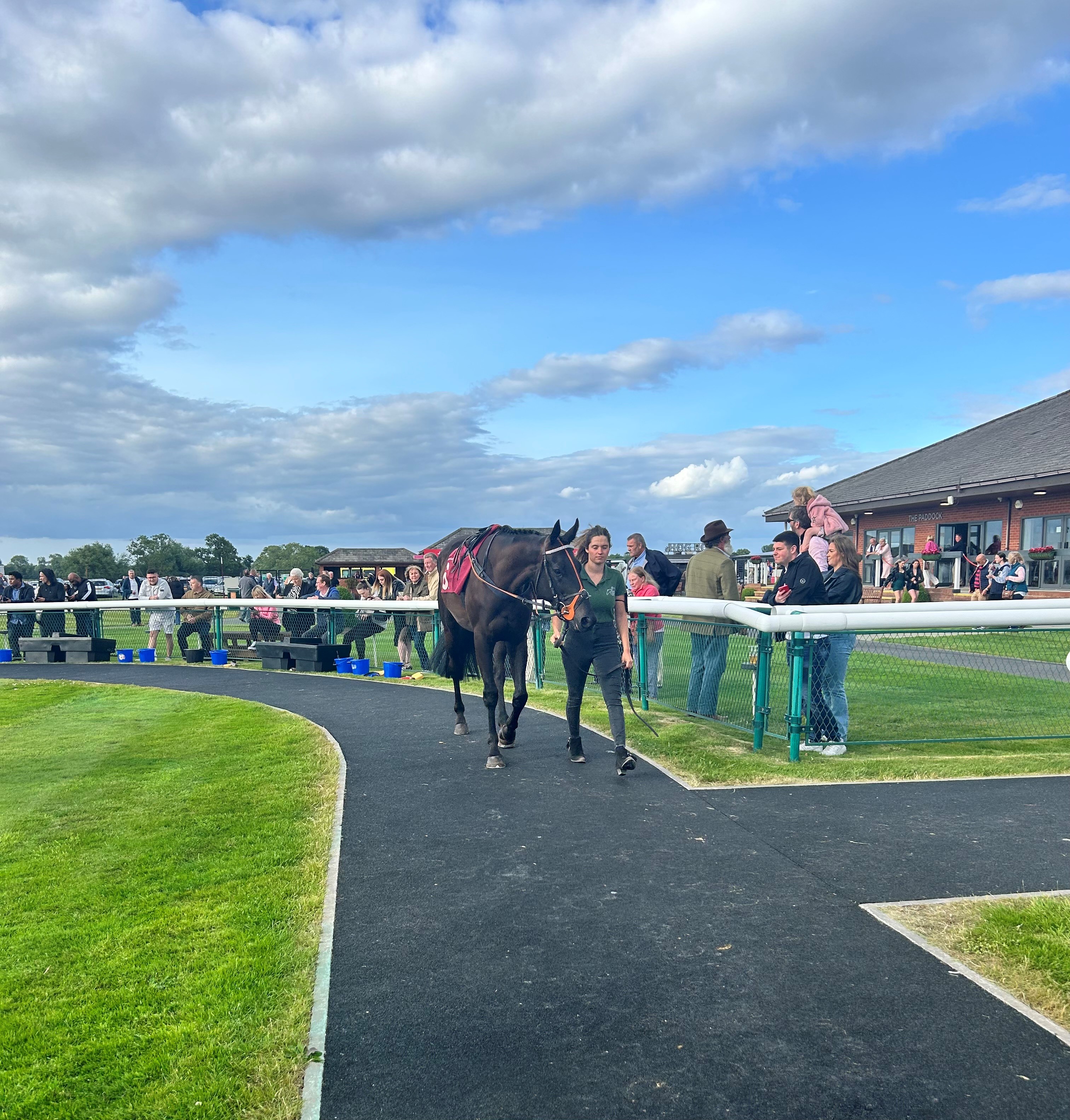 Ikiagai Star in the parade ring at Bangor! 