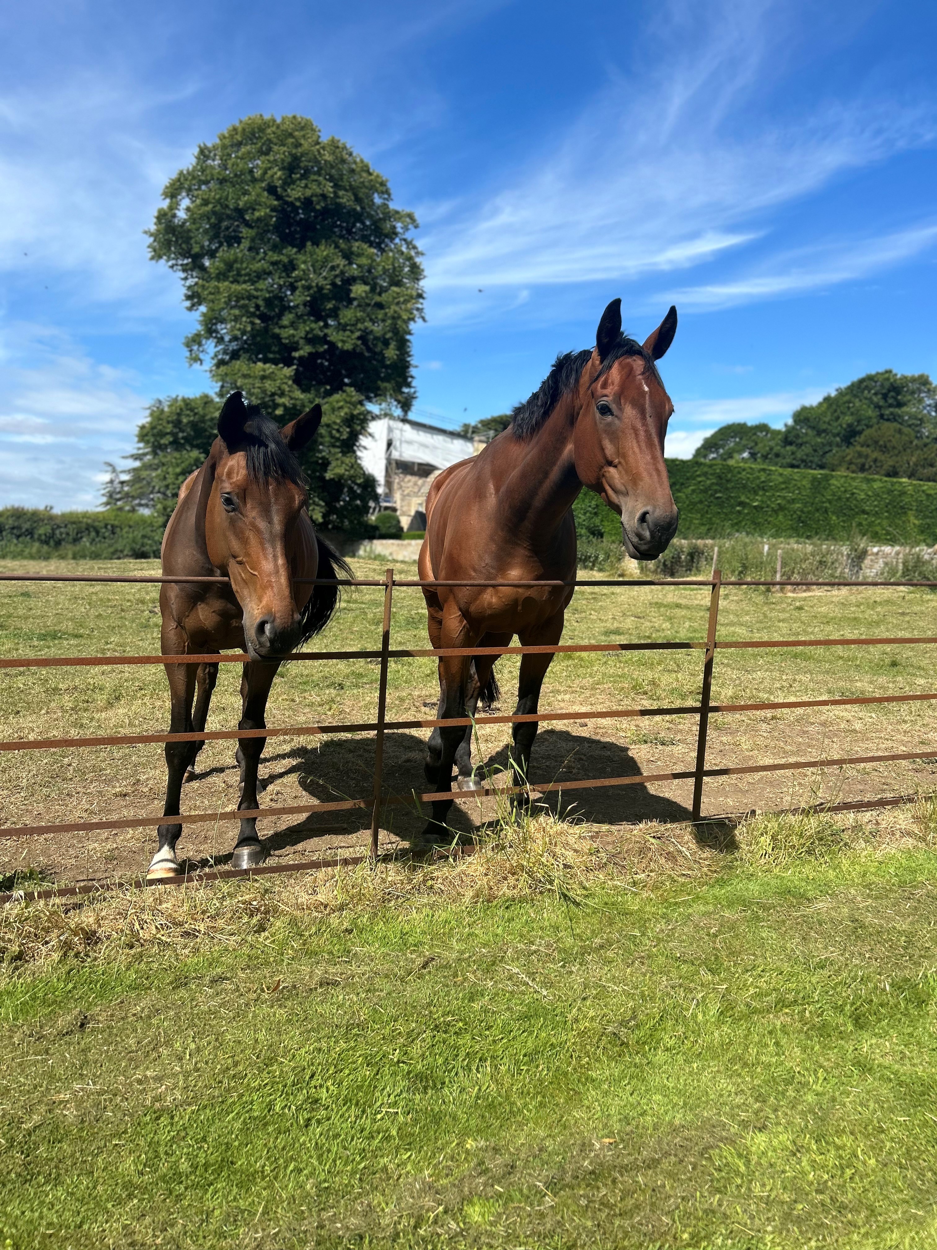 Book of Tales and Captains Road on their holiday's.