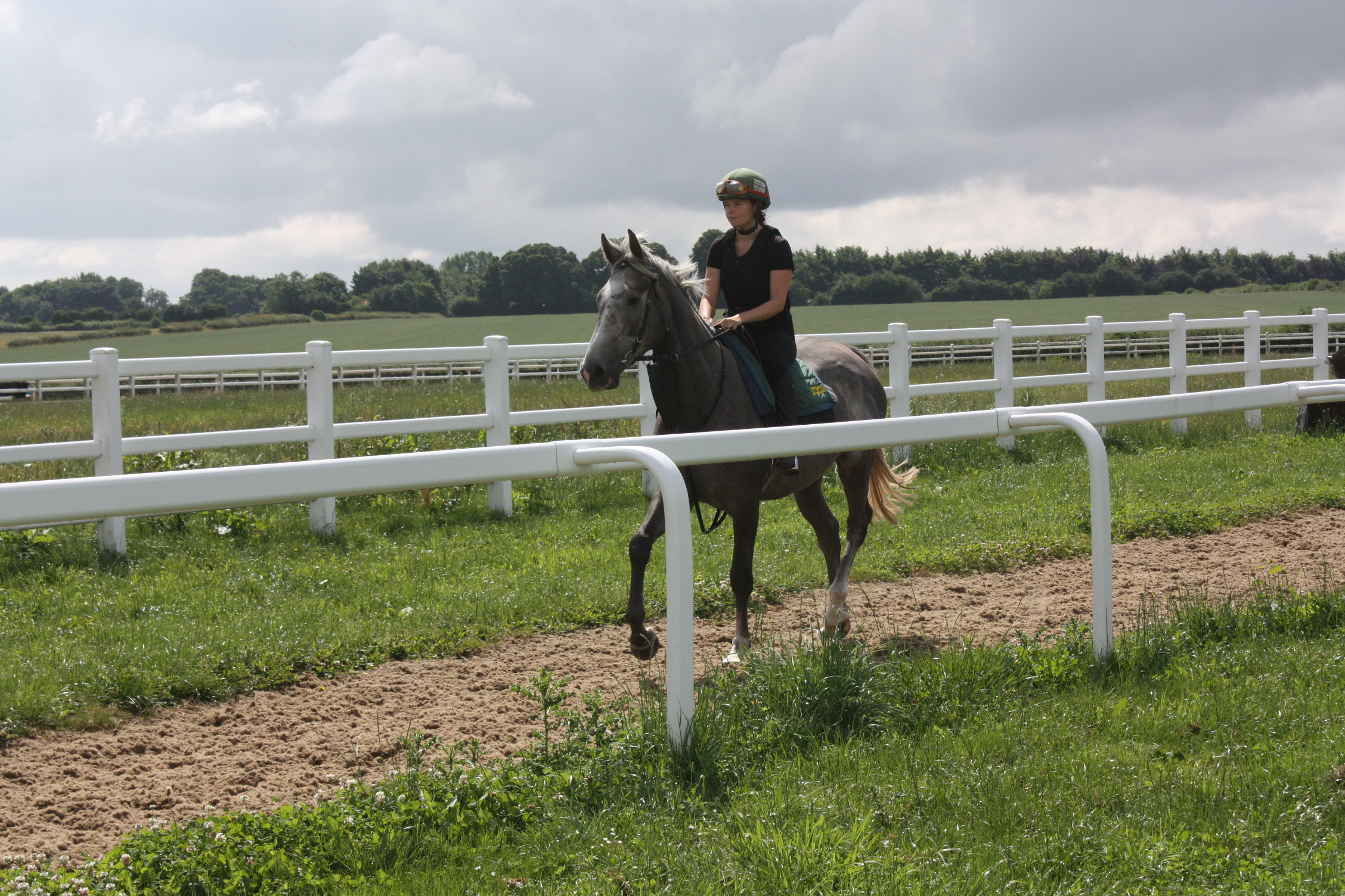 An exciting young horse Swindon Village returning to work.