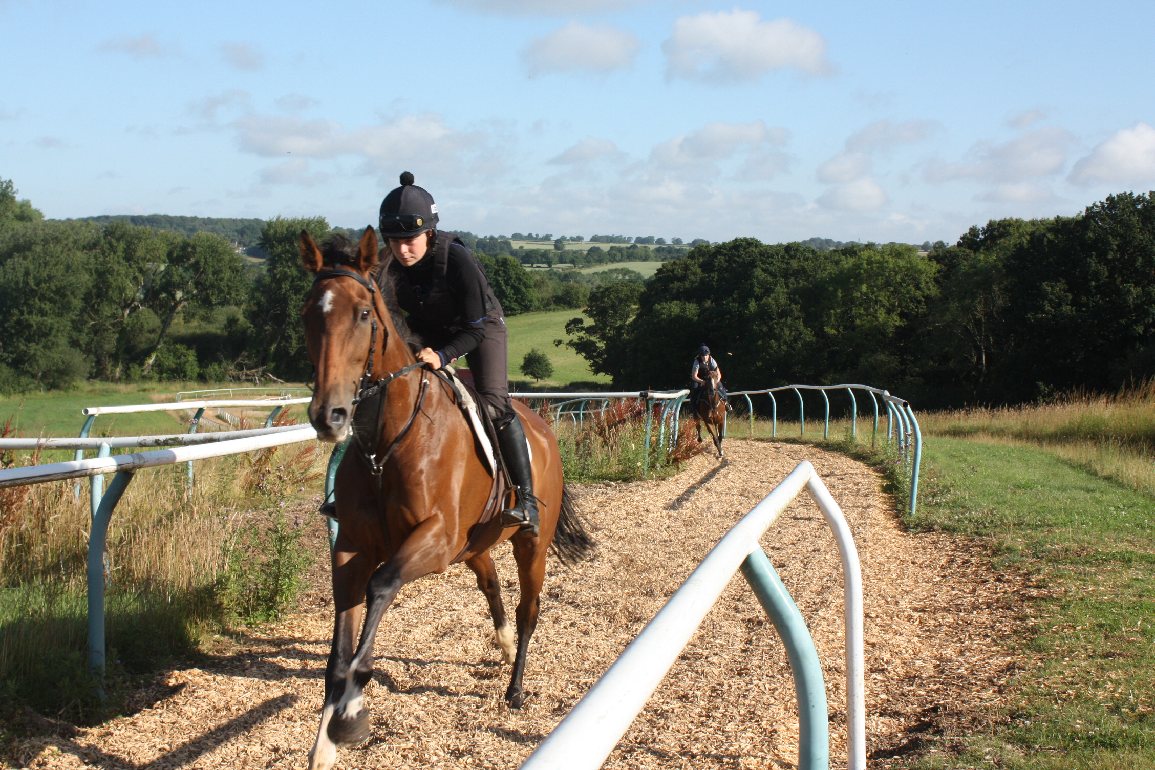 Parramount leading up with gallops with Lilly.