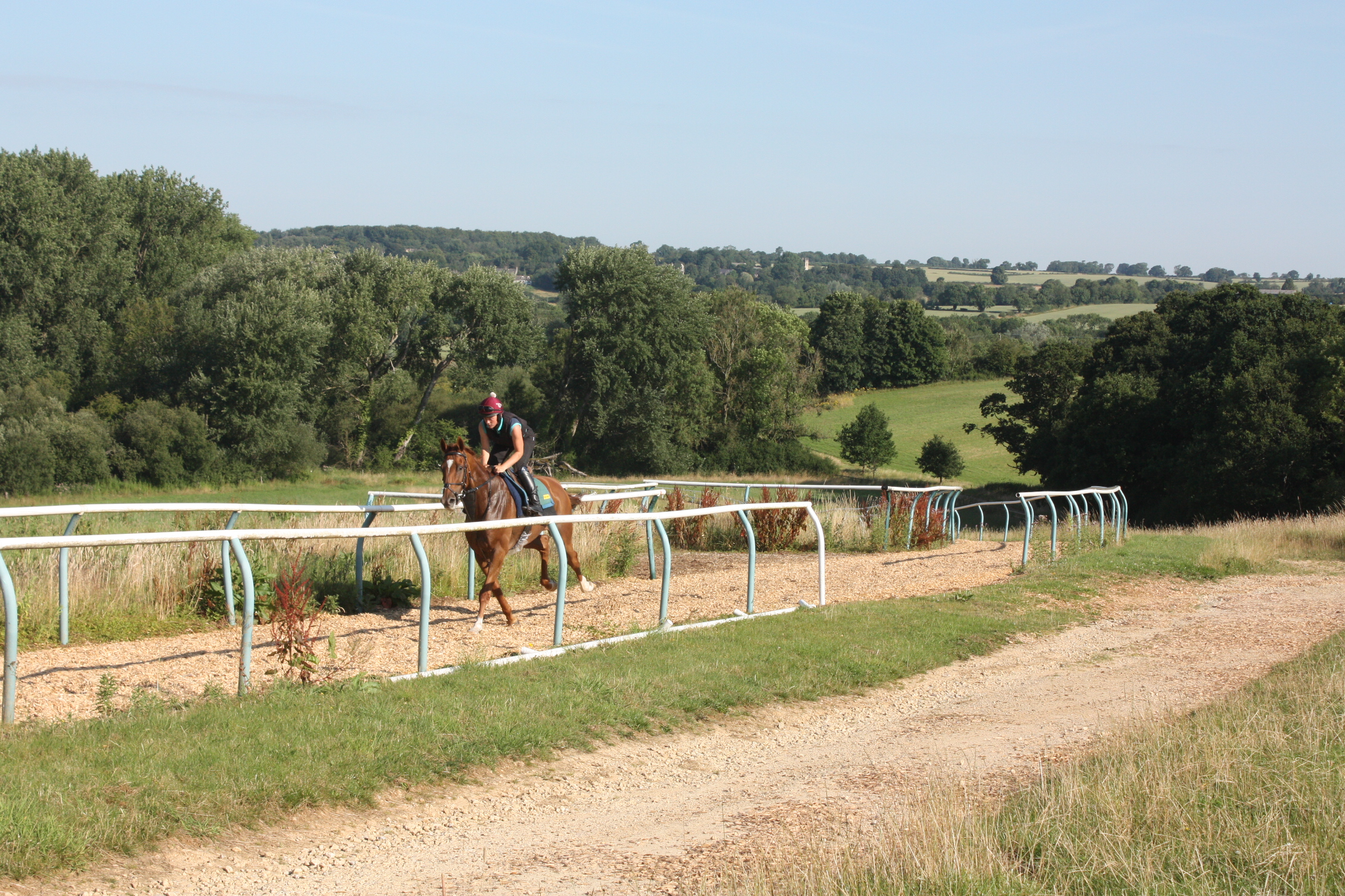 Almazhar Garde having a canter in the sun!