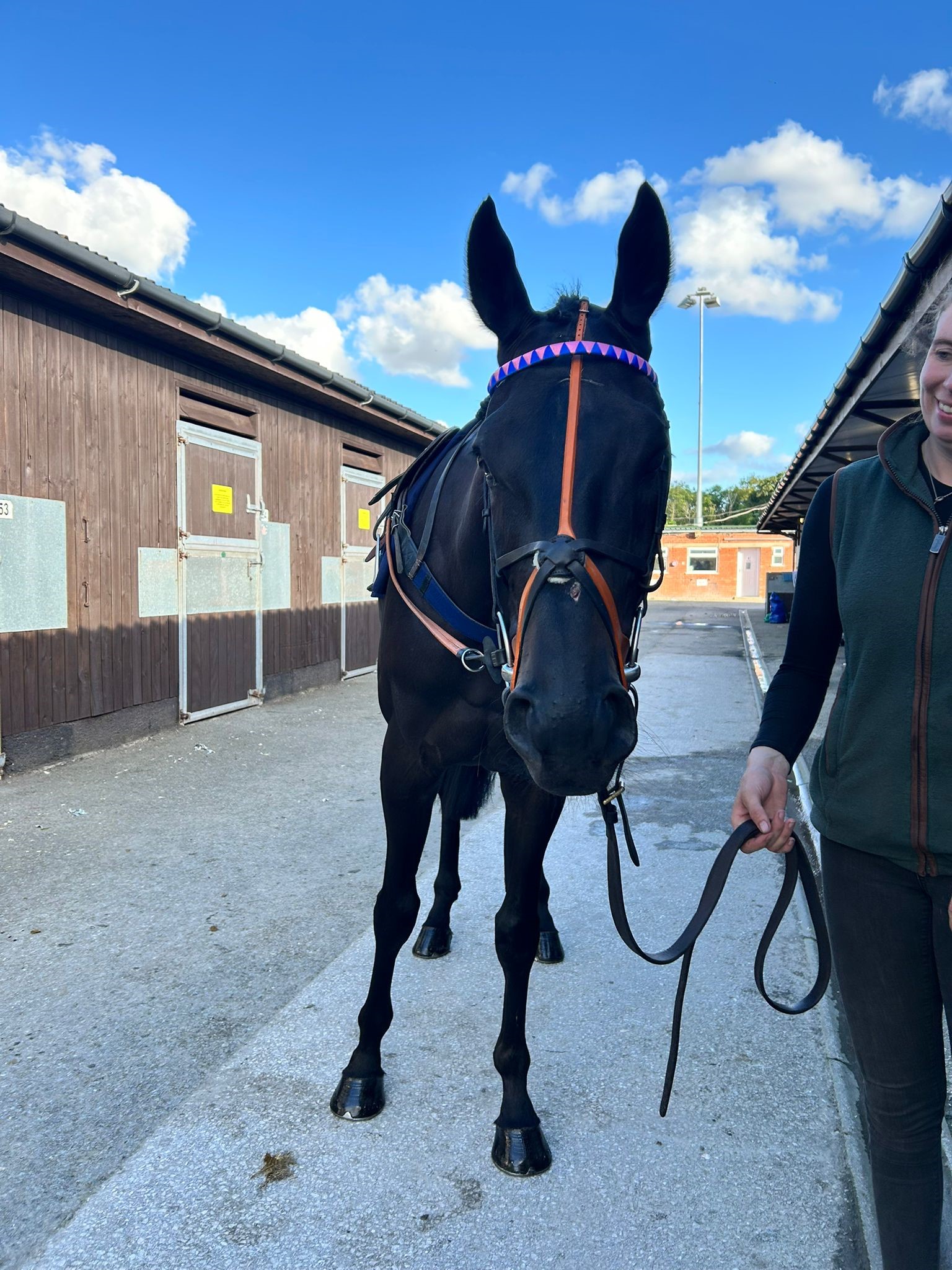 Ikigai Star at Southwell yesterday!