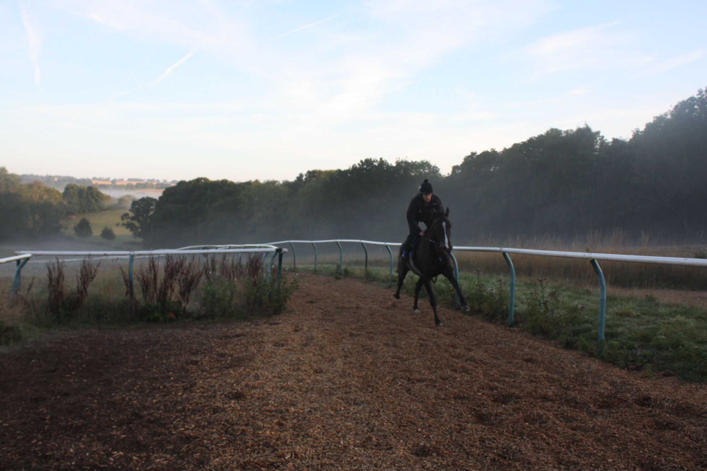 The Dark Edge back in work following his win! 