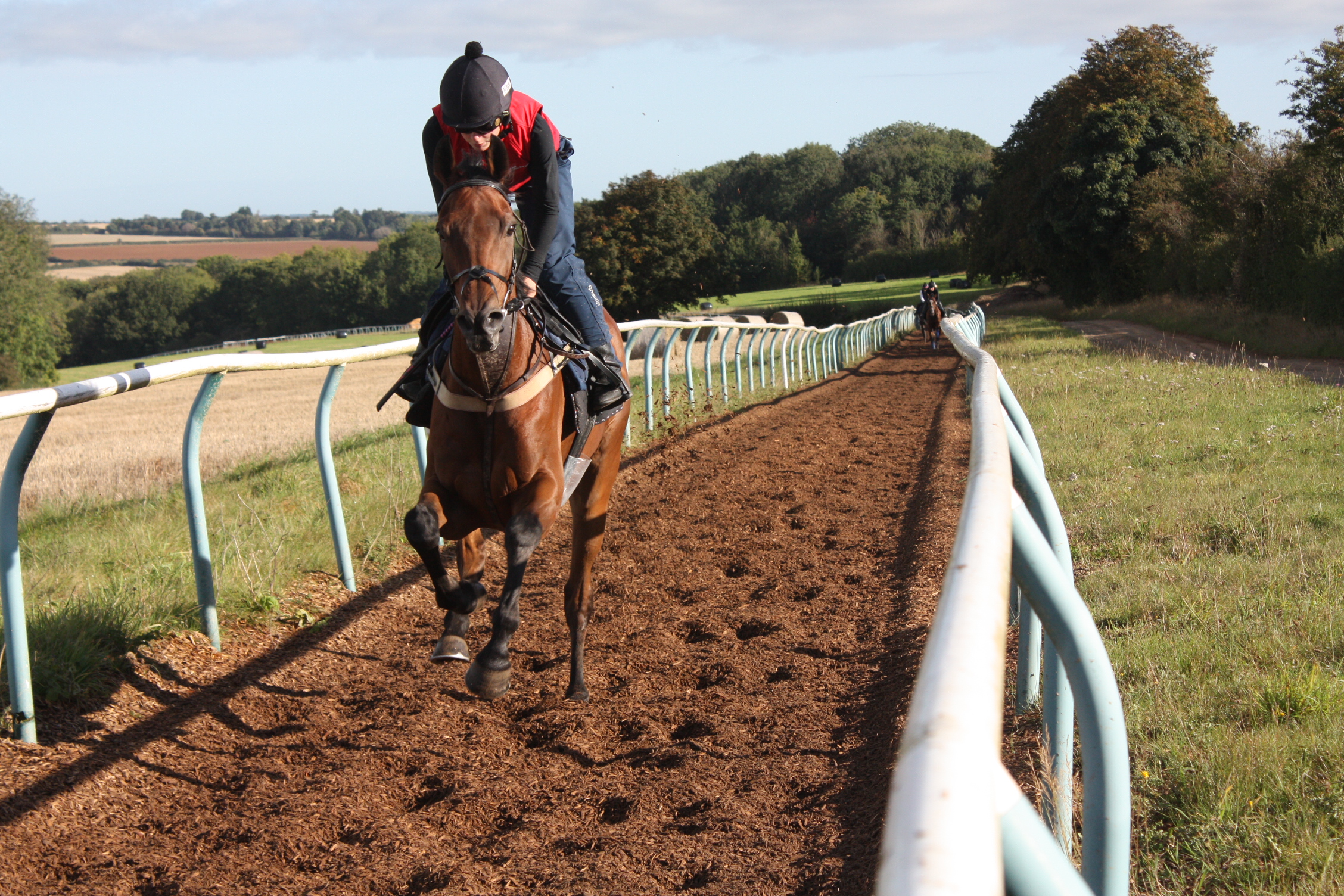 Lebowski cantering with Lilly