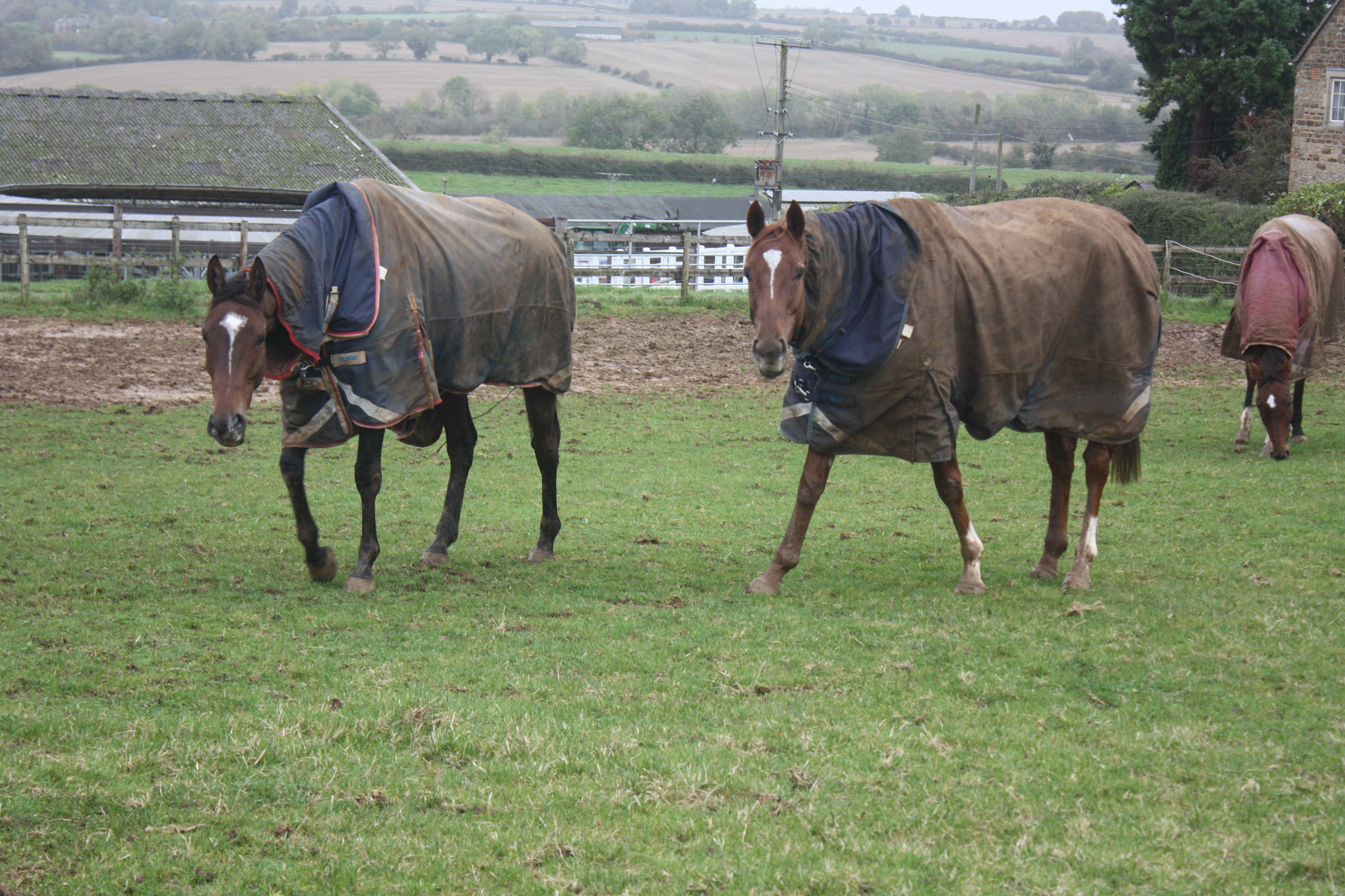 Alien Storm and Almazhar Garde enjoying their rest day!