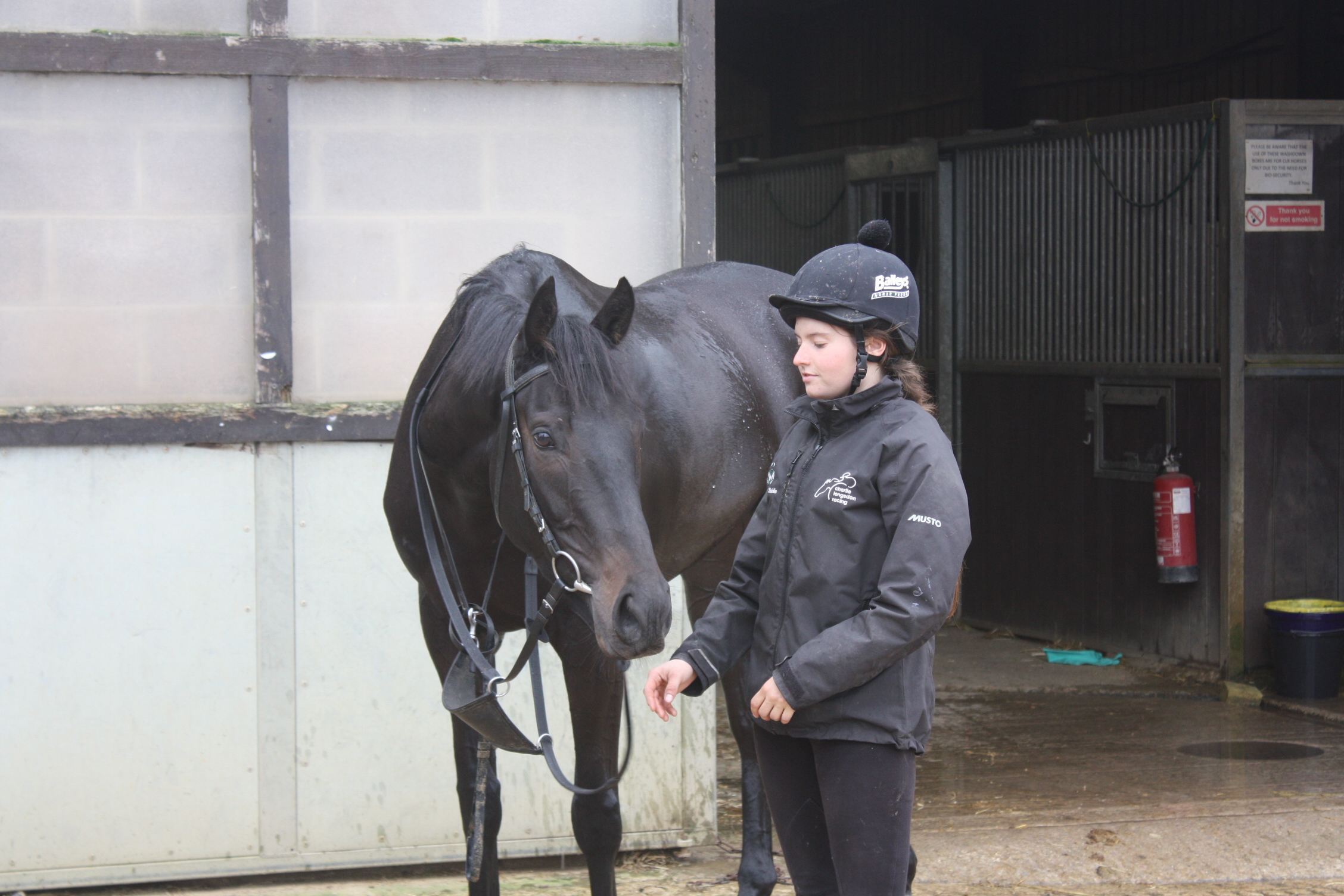 Our young horse Maxios X and Georgia