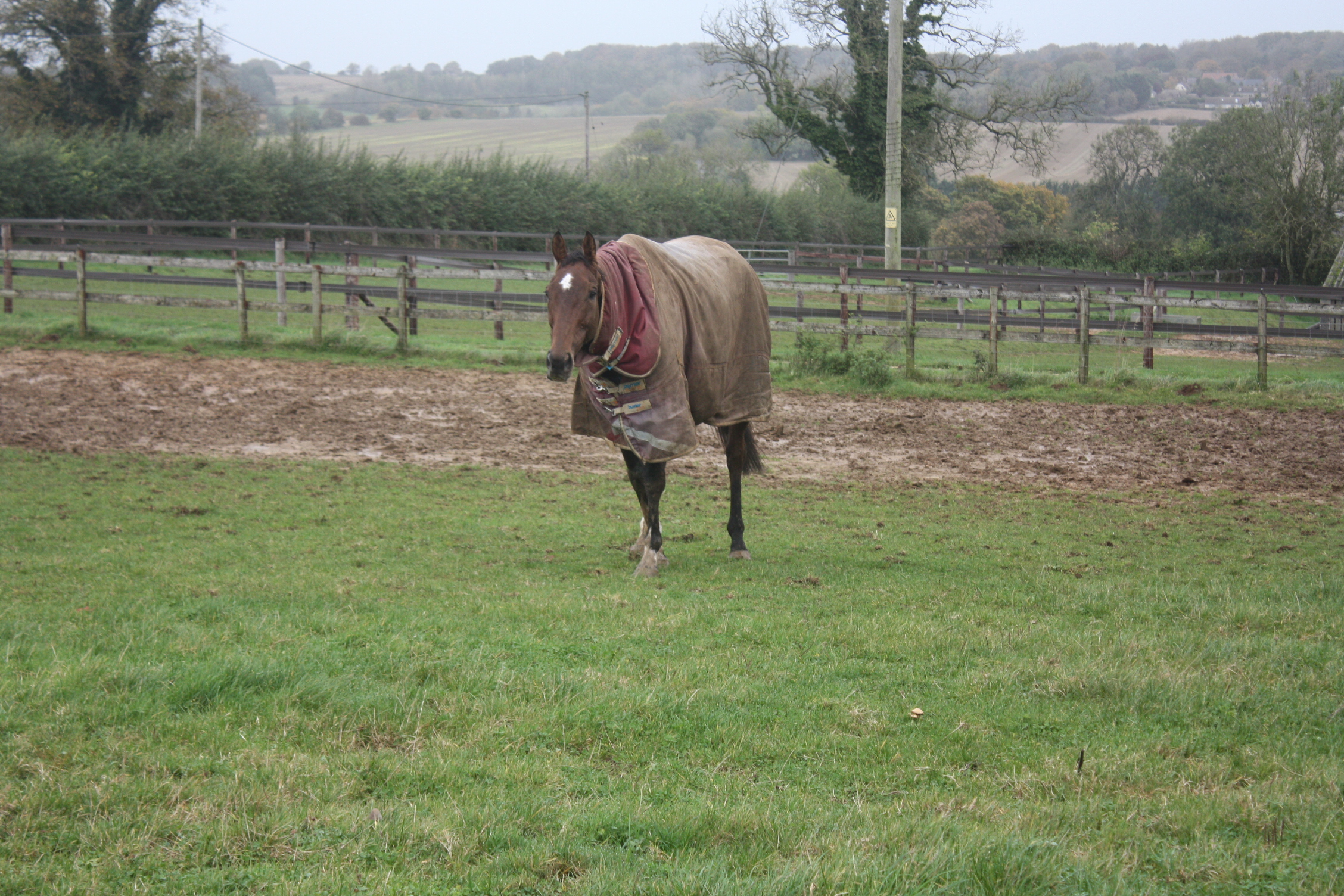 Parramount enjoying his days off in the field!