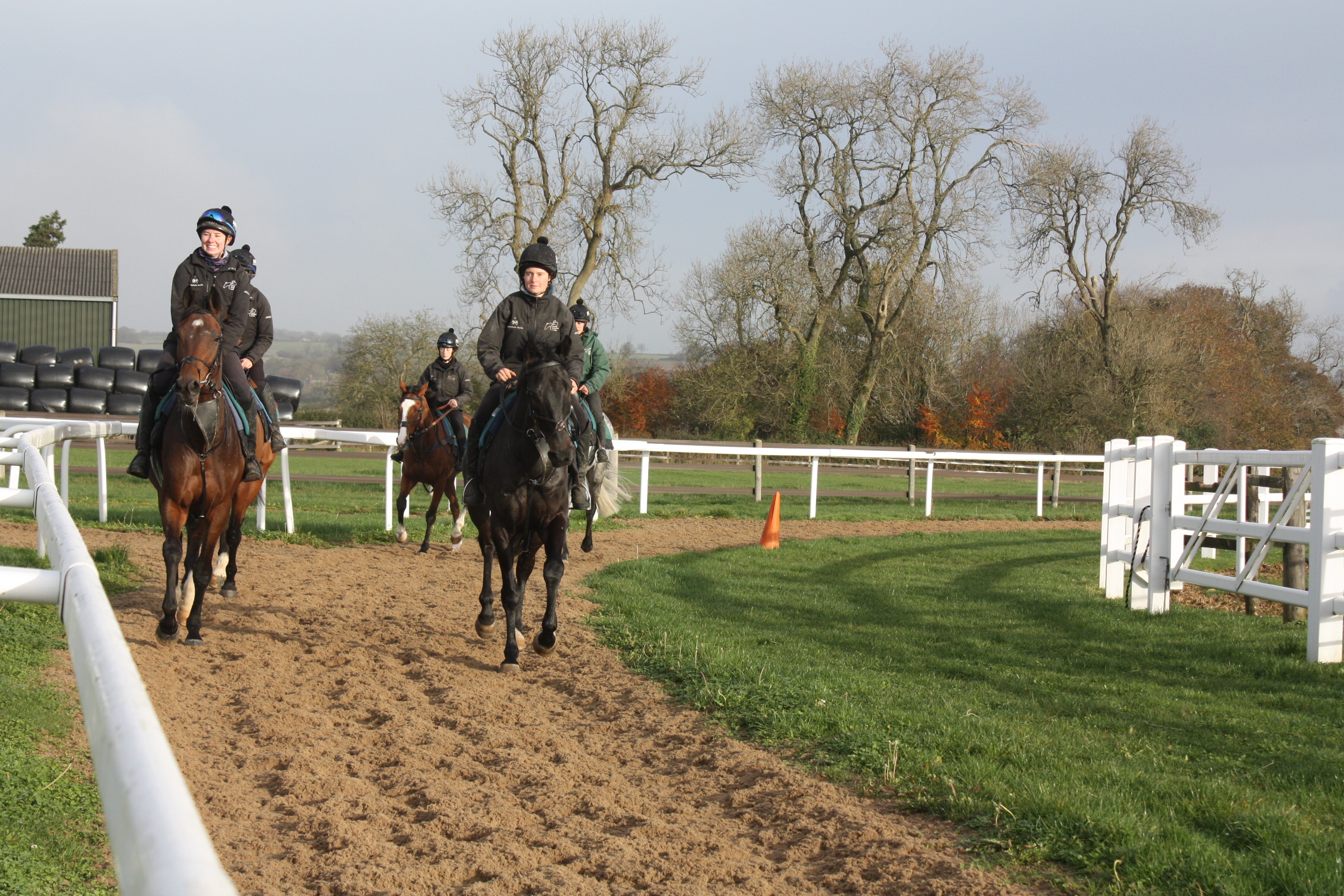 The team warming up the horses