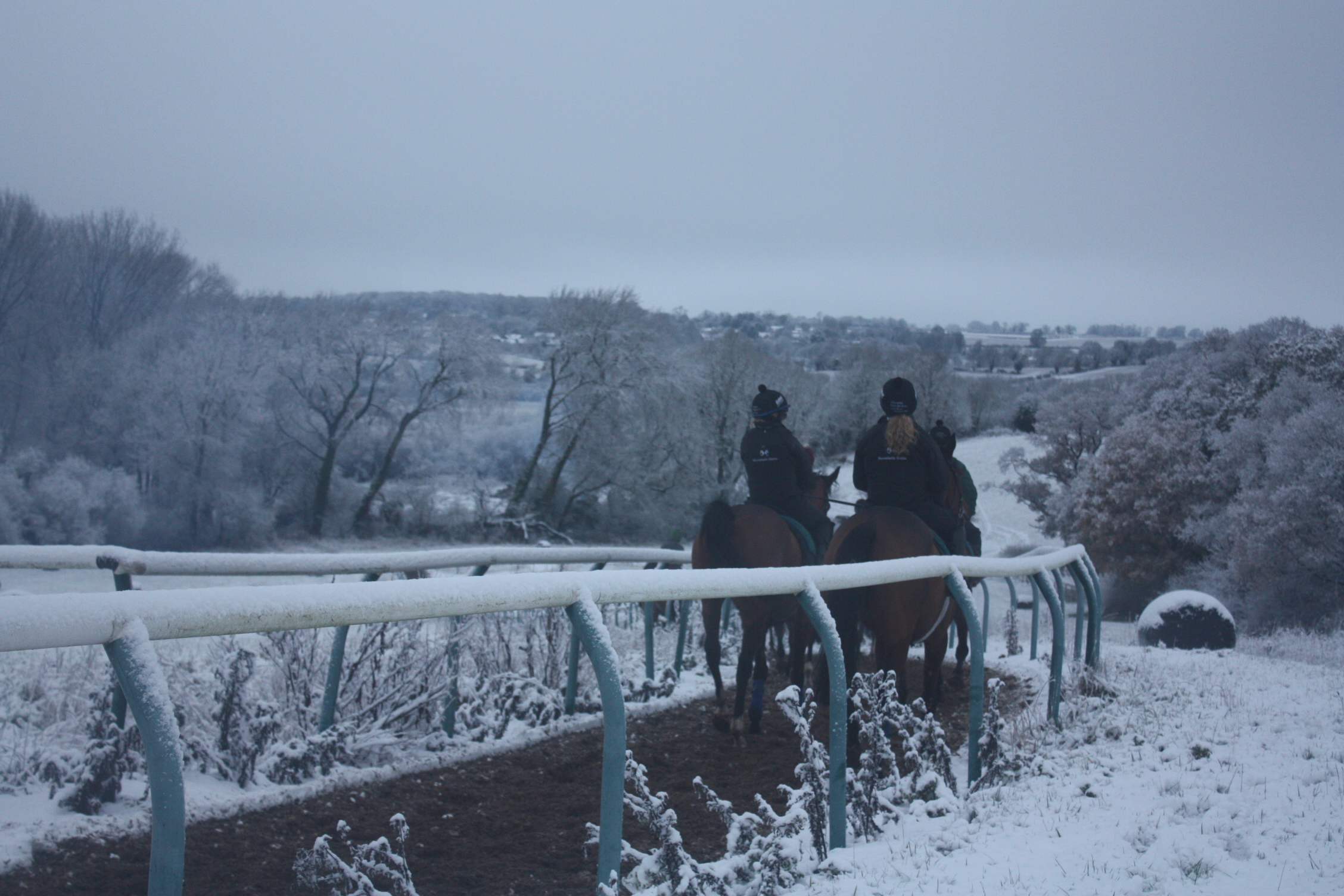 A stunning view of the farm this morning! 