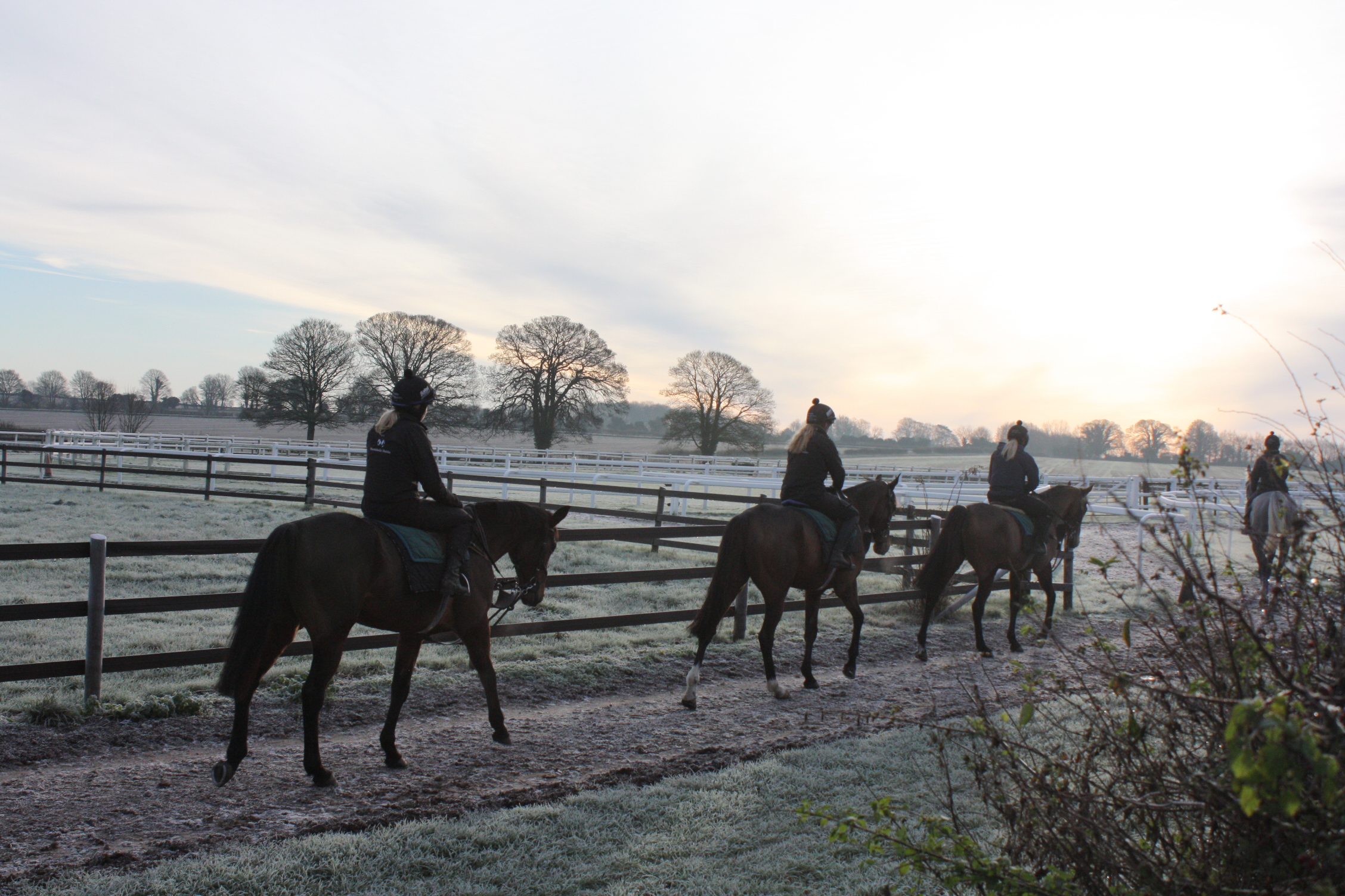 A frosty morning! 