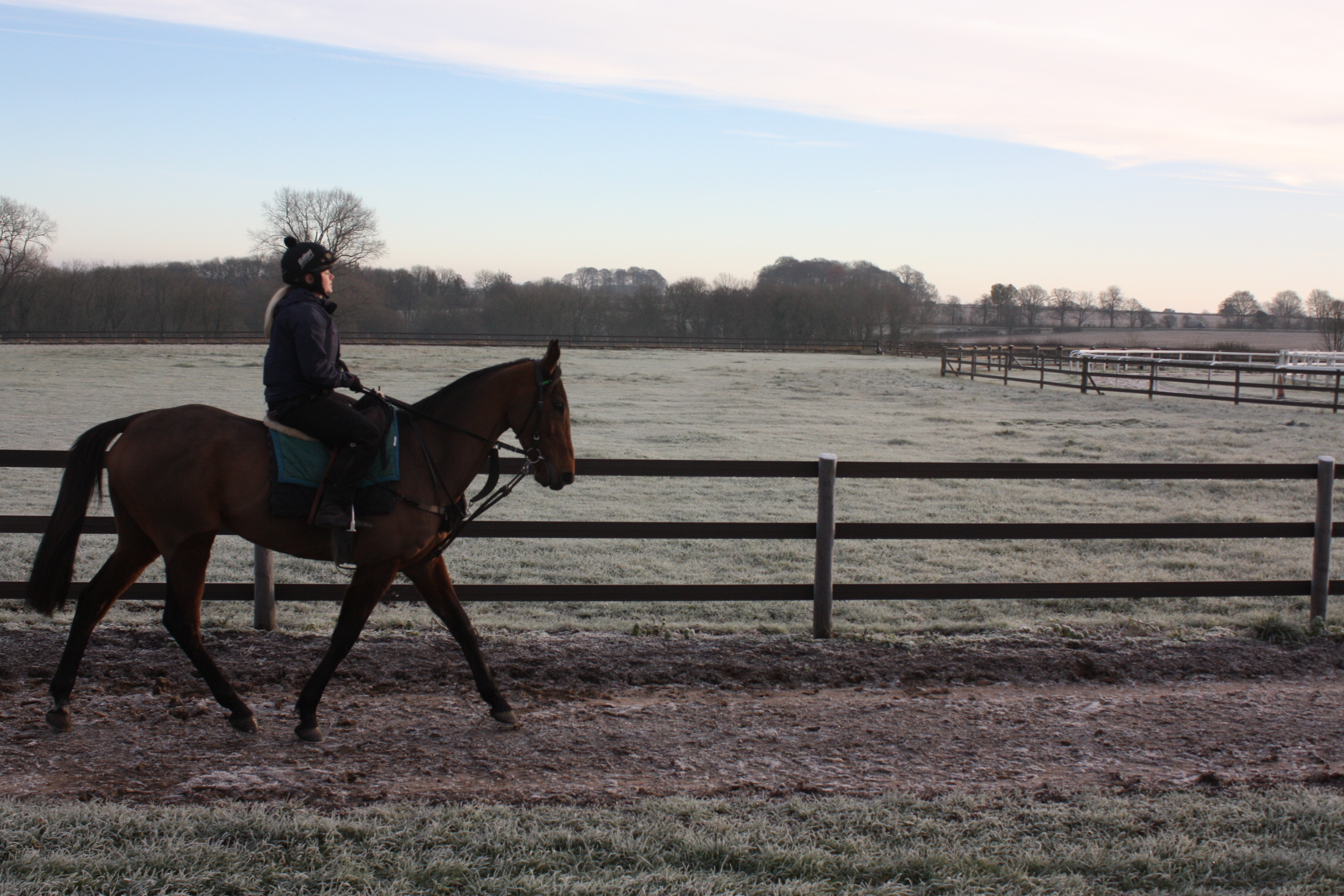 Western Zephyr this morning