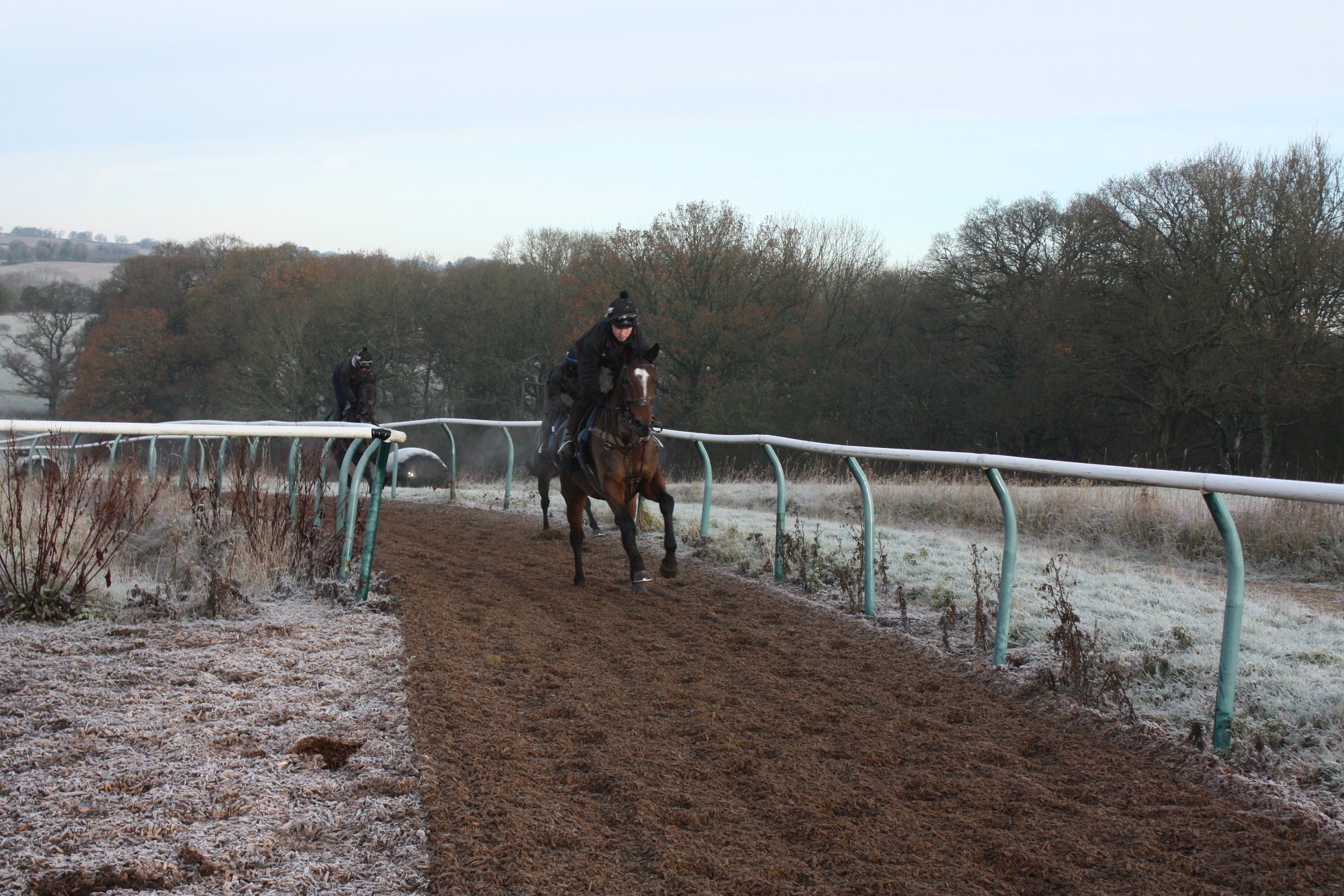 Realisation going up the gallops.