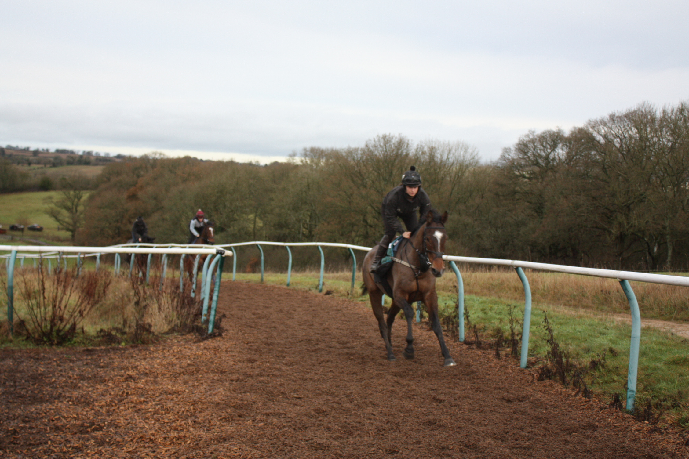 Alien Storm getting ready for Plumpton on the weekend