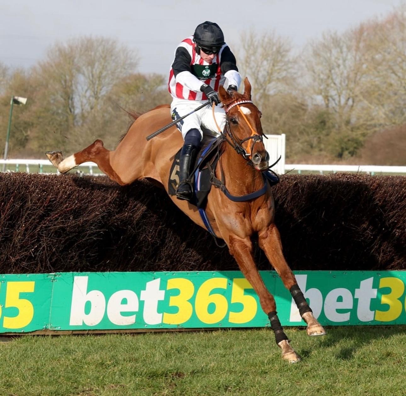 Ginger Jonny jumping the last to win at Huntingdon