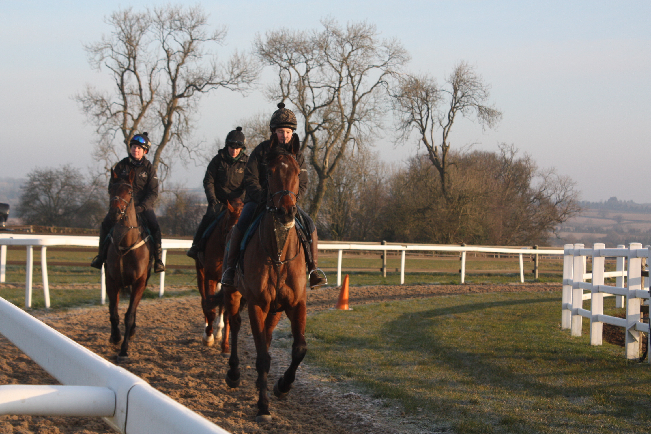 New Arrival - Romany King leading the way with Georgia