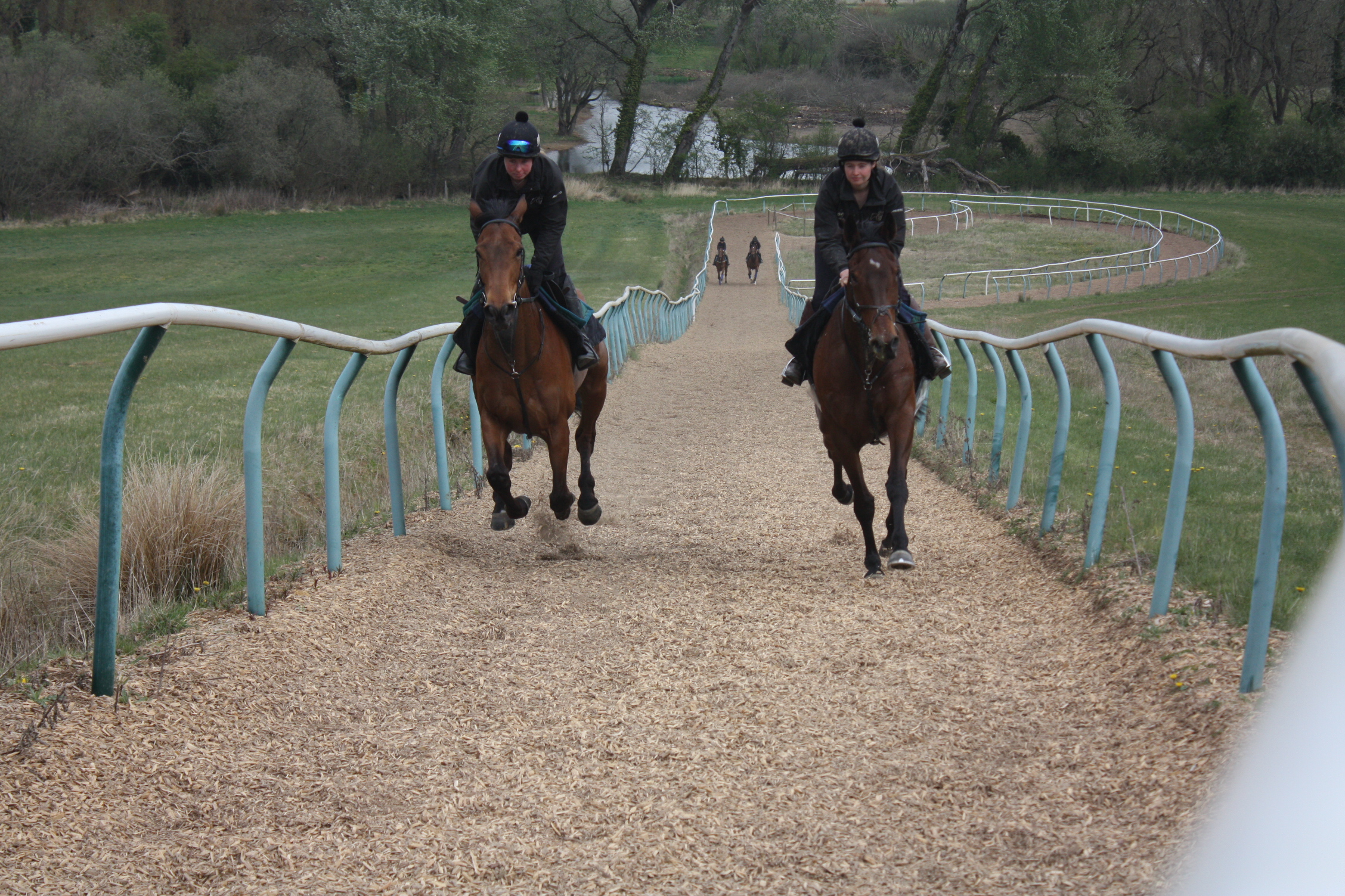 Romany King (right) getting ready for a run upsides Imperial Jade (left)