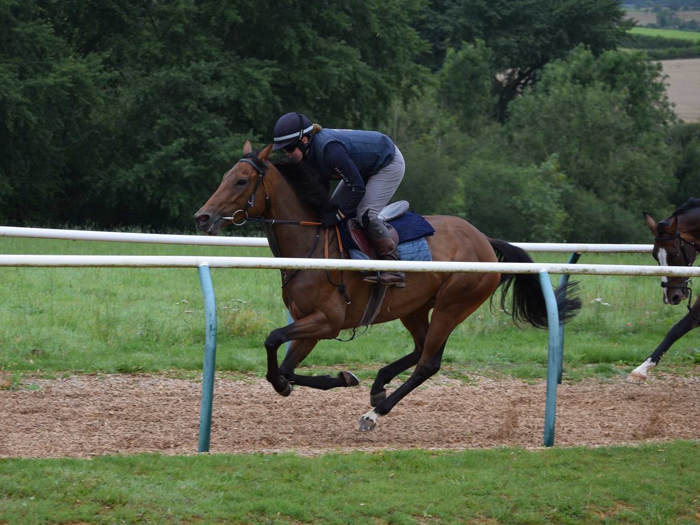 Dariya flying on the gallops this morning