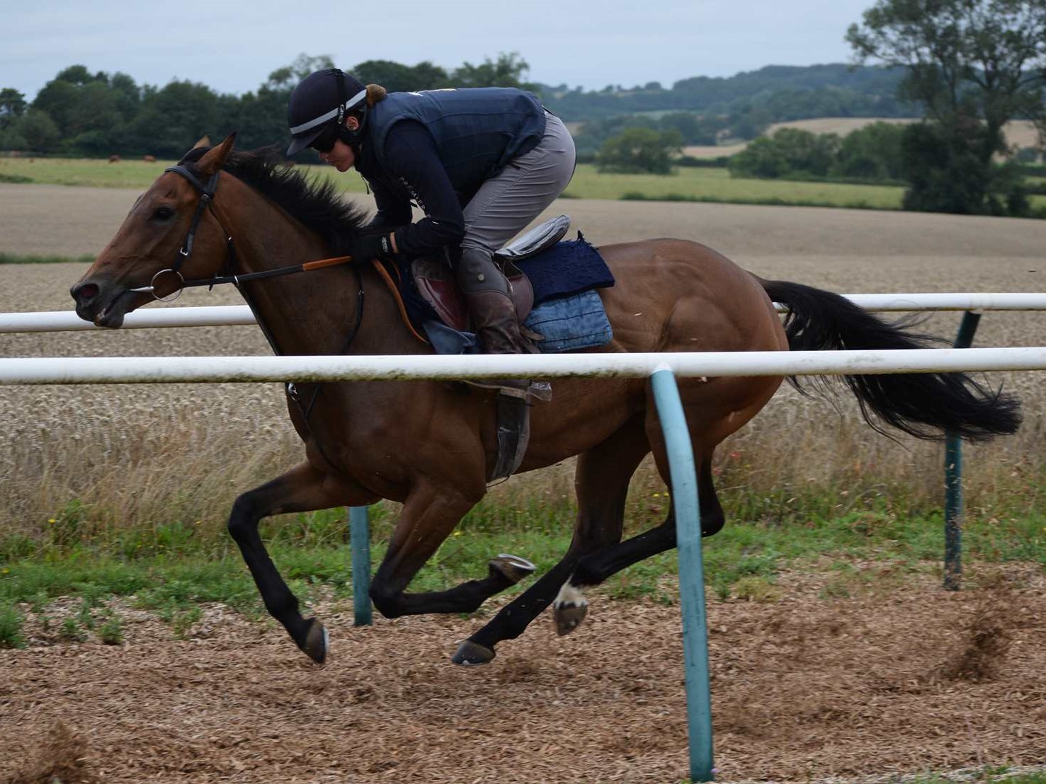 Dariya flying on the gallops this morning